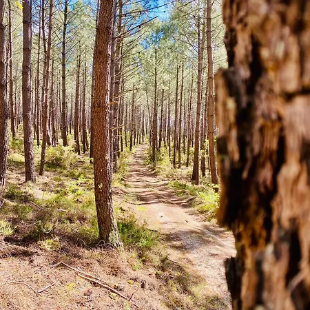 Kemp Mobile - Les Dunes De Contis
