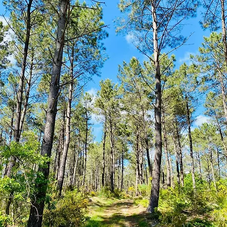 Parque de Campismo Mobile - Les Dunes De Contis *