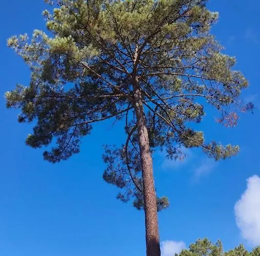 Campingplads Mobile - Les Dunes De Contis