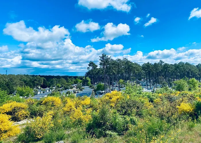 Mobile - Les Dunes De Contis
