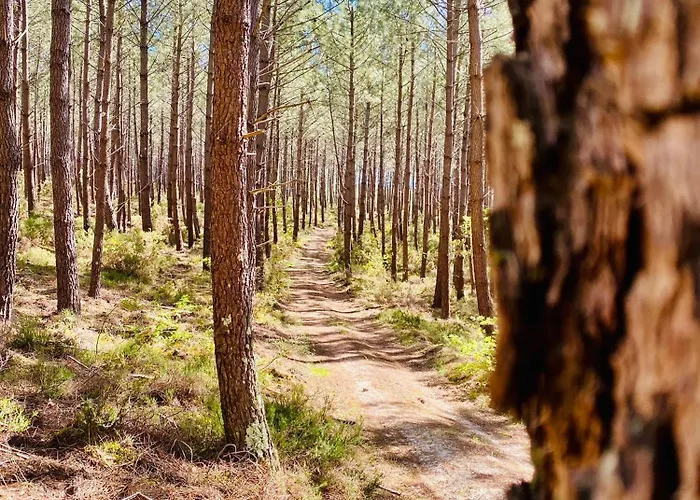 Campingplads Mobile - Les Dunes De Contis