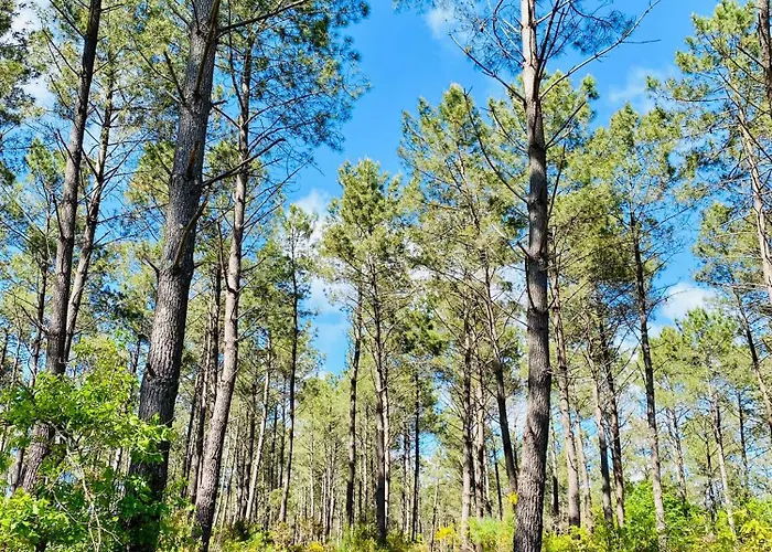 Campingplads Mobile - Les Dunes De Contis *