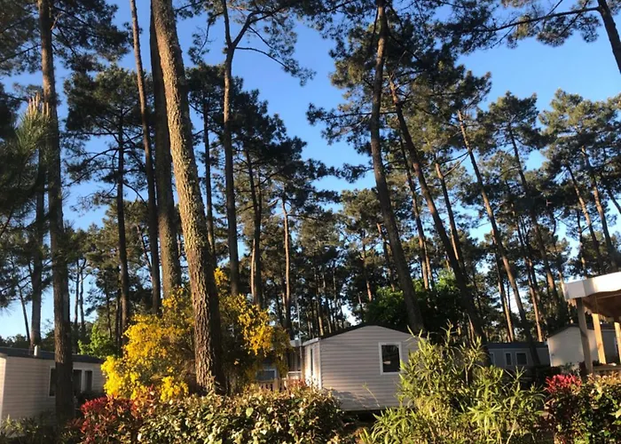 Mobile - Les Dunes De Contis * Saint-Julien-en-Born